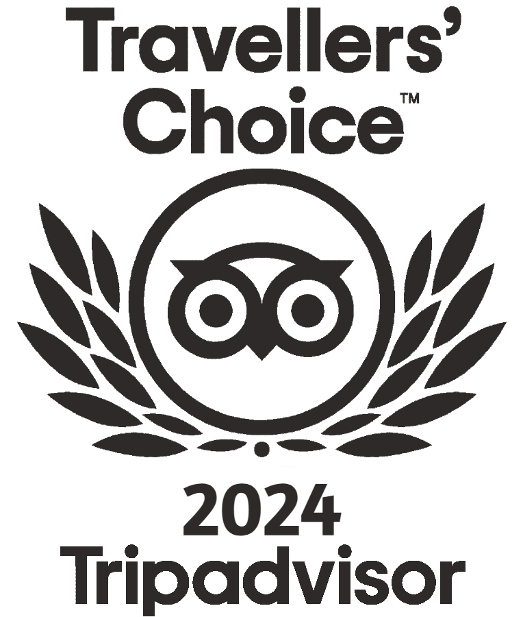 TA Travelers Choice 2024 award grey